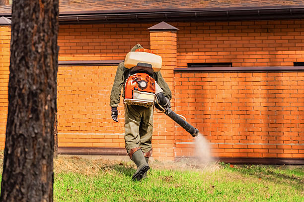 Trusted Cockroach Control service in Garden Grove, CA - Nex Pest Control
